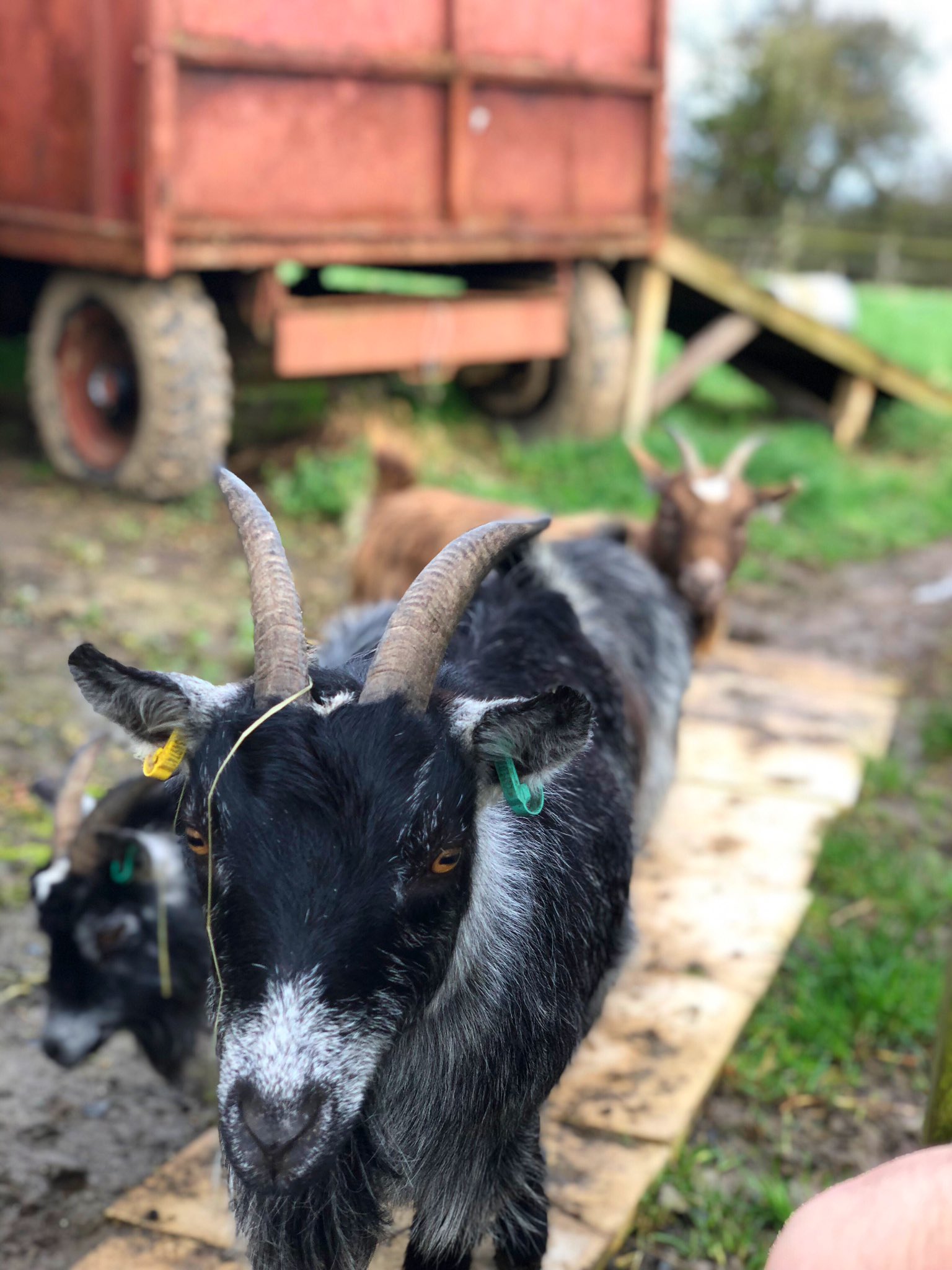 Steve James Ltd on Twitter "The other new addition over at Eastfield