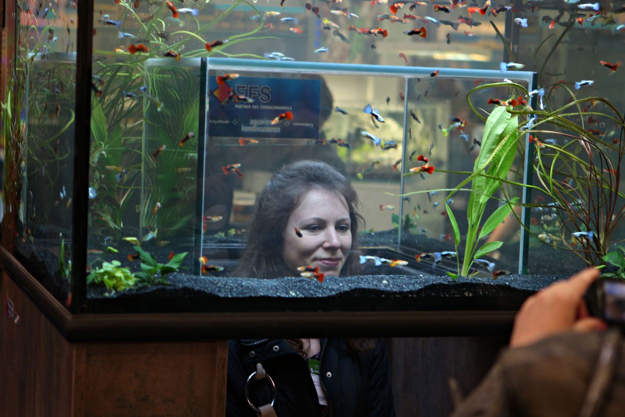 Creepy freshwater aquarium fish 2025