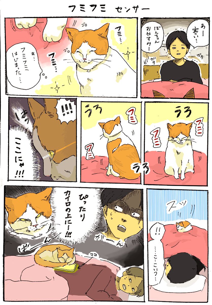 【 フミフミセンサー 】

ぼんちゃん、やりおるんです。

今回カラーにしてみました。

#ねこ #猫 #猫漫画 #漫画
#ぐうとぼんぼん 