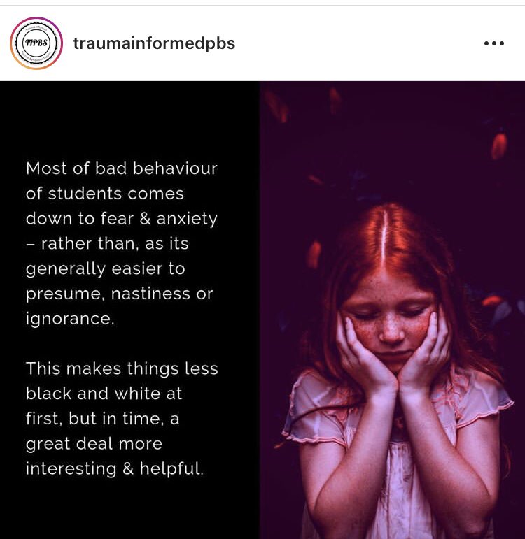 missbradshaw22's tweet photo. We have to stop assuming that “bad behavior” is due to a child being naughty. 🛑 #PESMarch19 #SEL #traumainformed https://t.co/FaEQwC4qi6