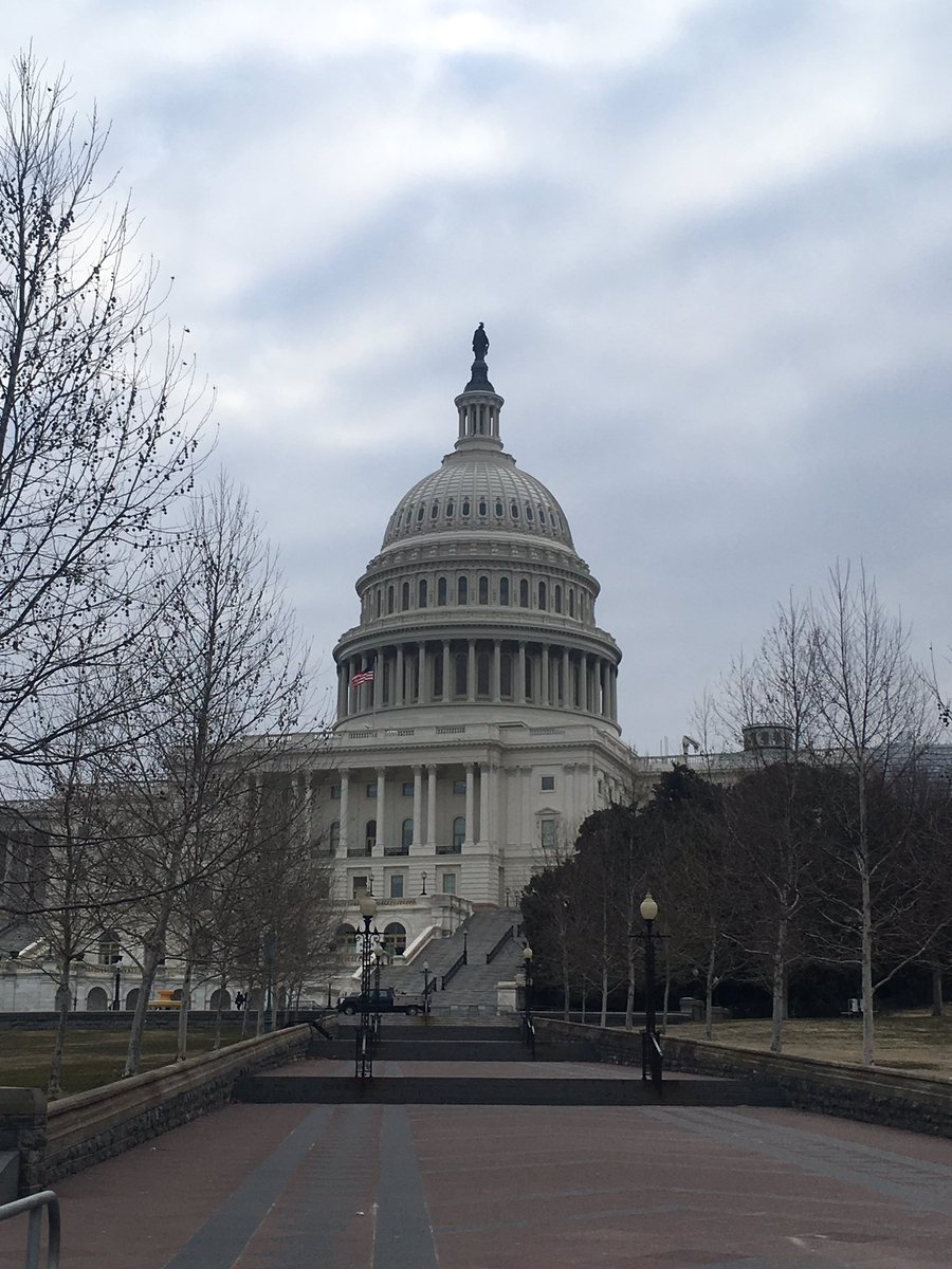 Here we are at the start of #SfNHillDay! Ready to be a strong #NeuroAdvocate!