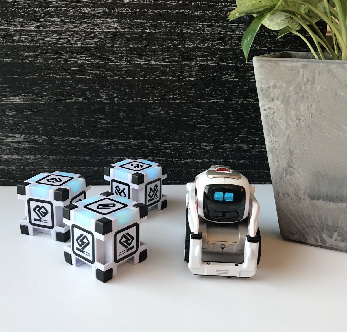 sandra_athey's tweet photo. I finally have an @anki Cozmo of my own!!! I can’t wait to introduce him to my students!! 🤖 #Cozmo #Anki #spedteacher #STEM #highschoolteacher #StemRobot @Hexnub #ScienceTeacher https://t.co/Pldgr5MlYs