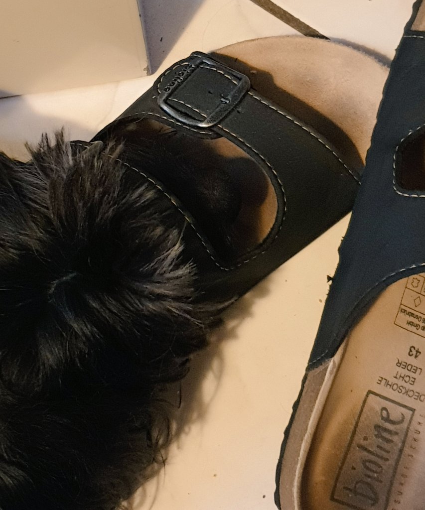 Herchens Schlappen sind doch noch die besten 😍