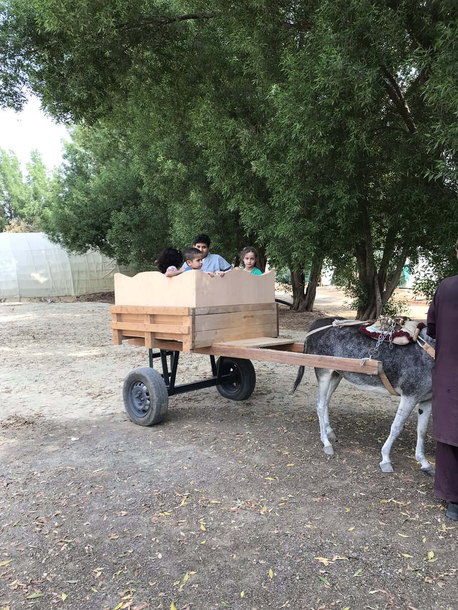 He2010Sayed's tweet image. #الخميس_الونيس
sayed_ismail
عروض الجمعه ٨ مارس في مزارع البوعينين مشوارك للمزرعه علينا استرجع قيمه ١٠ ليتر بنزين عند شراء ١٧٠ ريال منتجات واغتنم عرض ٥٦ ريال مجموعه من ( طماطم فلين محمي كوسه خيار باذنجان فلفل حار جزر بصل بطاطس ثوم ) ٠٥٦٨٢٥١٦٧١ maps.google.com/?q=26.892773,4…