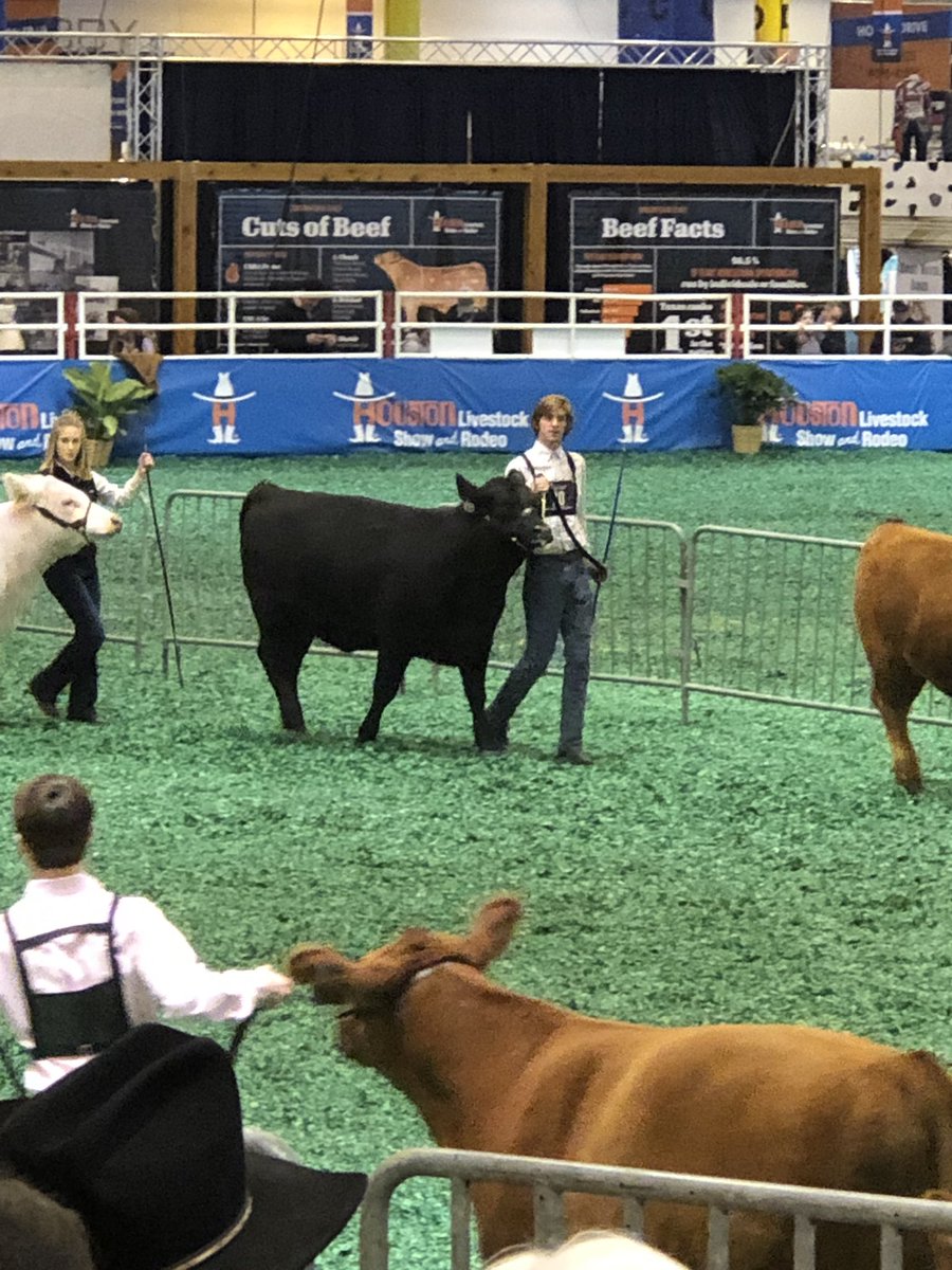 Cameron and Miss Praline rocked the calf scramble heifer show at Rodeo Houston! Way to go, guys!