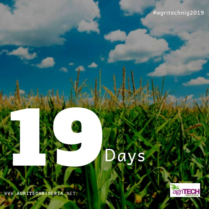 AgritechNig's tweet photo. ⏰Counting down to the main event! #AgritechNig2019 

Who else is excited? https://t.co/9mGrZtFhtG