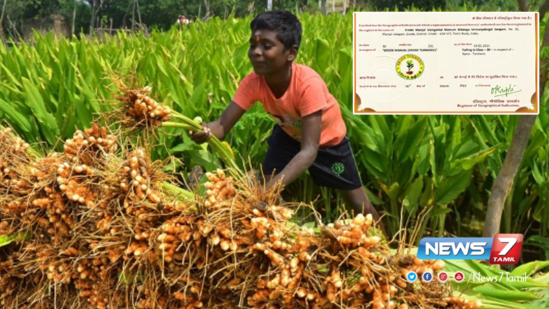 news7tamil's tweet photo. புகழ்பெற்ற ஈரோடு மஞ்சளுக்கு கிடைத்தது புவிசார் குறியீடு அந்தஸ்து!

விவரம் ➤ https://t.co/37q2NiEacA | #Turmeric | #ErodeTurmeric https://t.co/EKMCdyGIqy