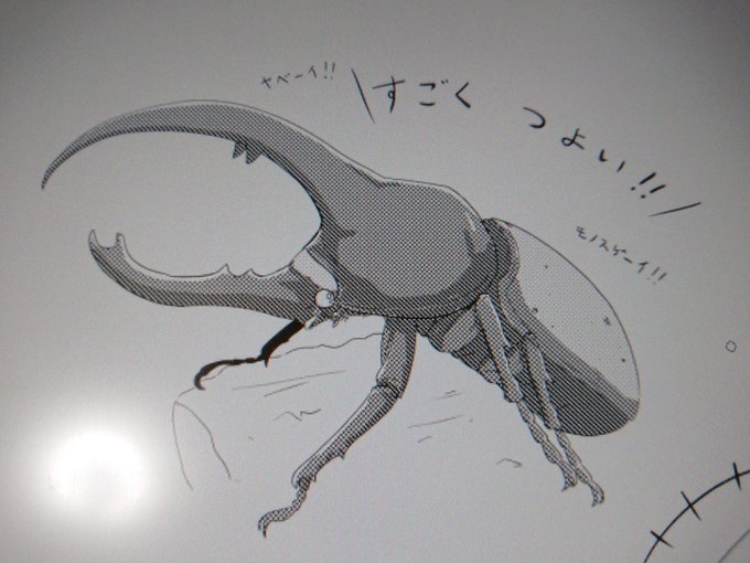 ヘラクレスオオカブトのtwitterイラスト検索結果 古い順 ヘラクレスオオカブトのtwitterイラスト検索結果 古い順