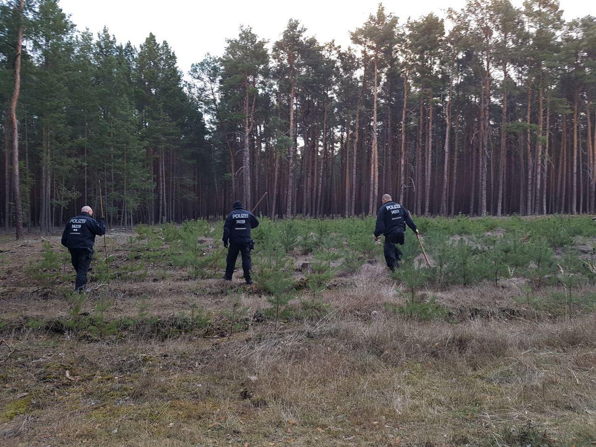 Waldstück bei Storkow
