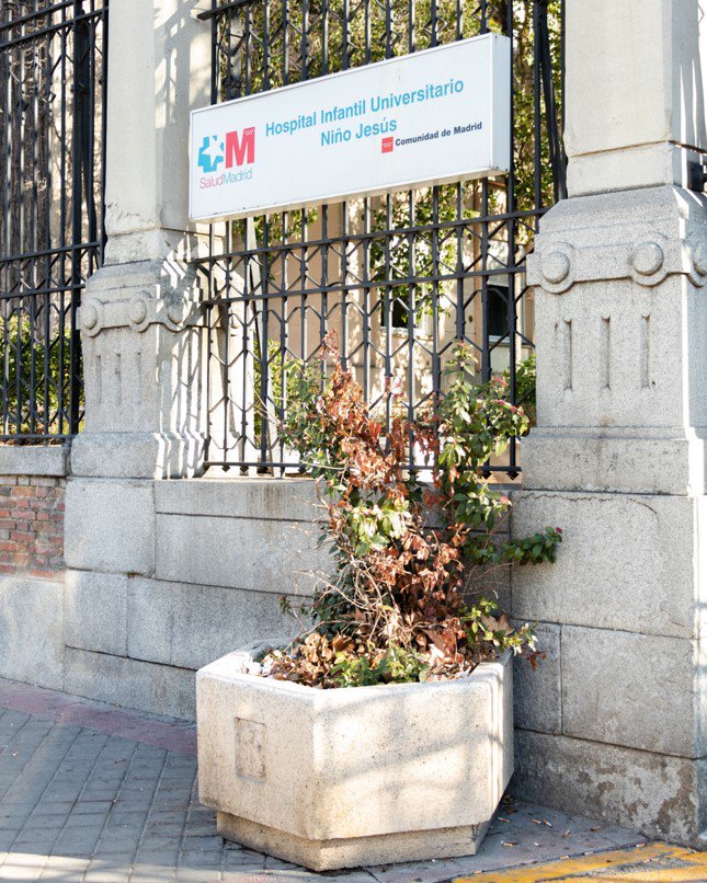 Una de las misiones de Caíco es desarrollar proyectos de investigación, por eso en el Hospital Niño Jesús contamos con un Data Manager que lleva a cabo tareas de apoyo a la investigación sobre el cáncer infantil 🔬.
.
.
.
#Caico #HospitalNiñoJesus #Madrid #FundacionCaico