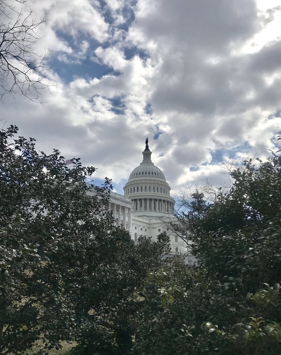 edtechenergy's tweet photo. My first try lobbying for support of funding Title II-A & Title IV-A Edtech programs. @ISTE @CoSN @SETDA #edtech #CDL_MOOCEd #MIEExpert #Act4Edtech #ESSA https://t.co/5FdPSrovOK