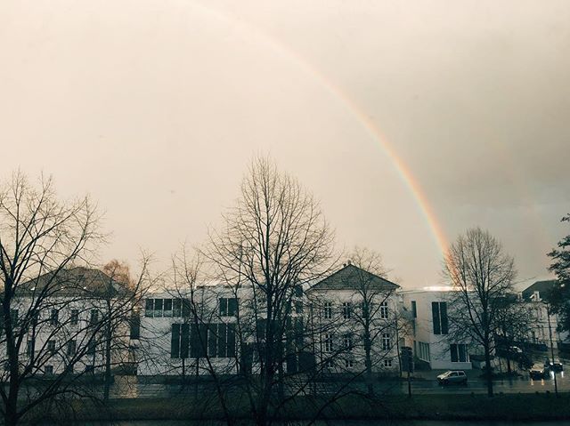 jonas_pauli's tweet photo. 🌈 https://t.co/5cumabTSYv https://t.co/LJ3q1Xi5xB