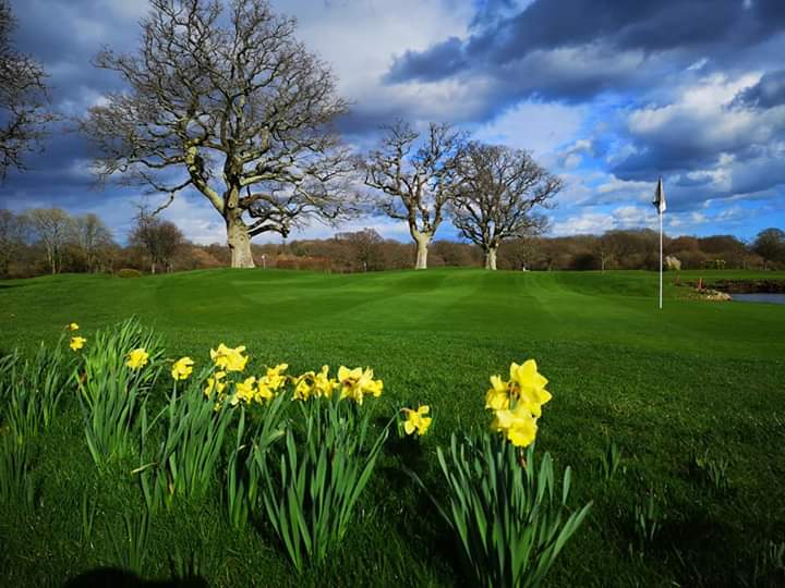 cumminnsso's tweet image. Park house hotel realy impressed with #Coldstart 11-5-5,mg fe