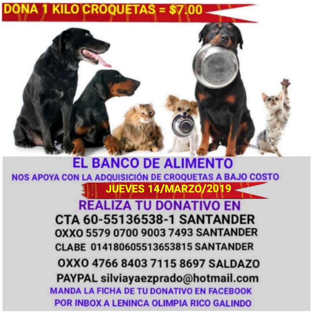 DONA
1 KG CROQUETAS = $7.00
A BENEFICIO DE MAS DE 300 PERROS RESCATADOS