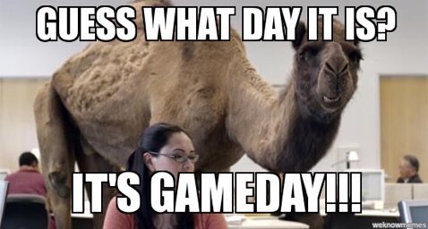 GAME DAY! Come out to Gene Autry Park at 2pm to see us face off with Benedictine! #Sandstorm 💪🏼