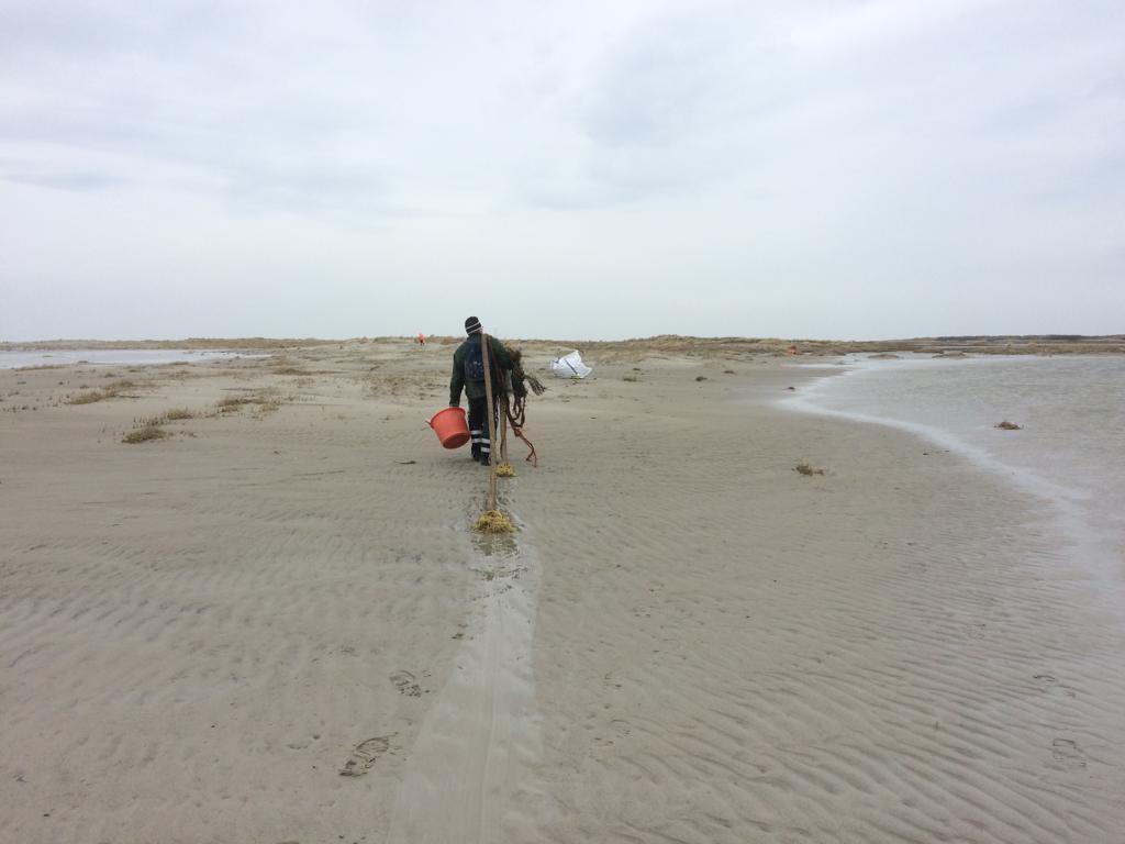 RWS_NN's tweet photo. De opruimactie op de #Rottums is zojuist afgerond. Op de drie eilanden hebben we samen met @staatsbosbeheer en de Waddenunit van @minlnv in totaal 20 bigbags met afval verzameld. Na het broedseizoen keren we weer terug naar de #Rottums voor nieuwe opruimactie. https://t.co/3g3Af0xGCT