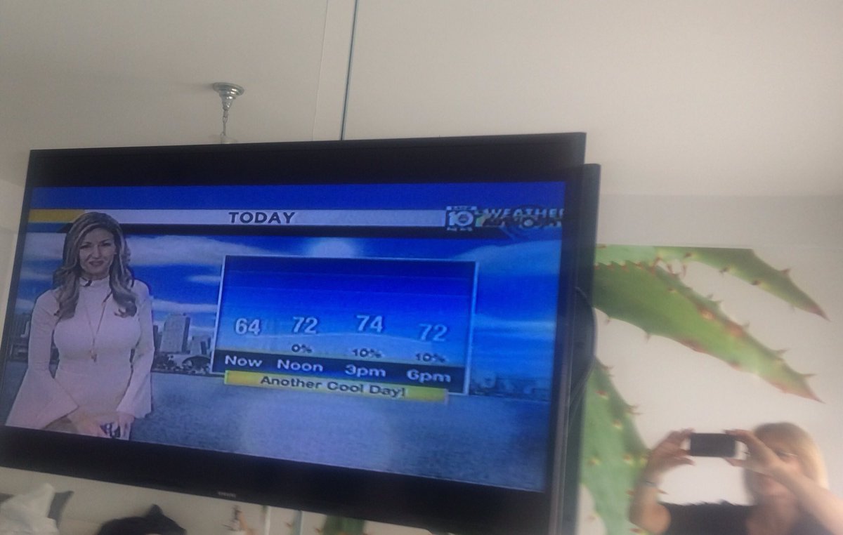 DorotheaKolossa's tweet photo. #anothercoldday in Florida https://t.co/yqG1goZEvz