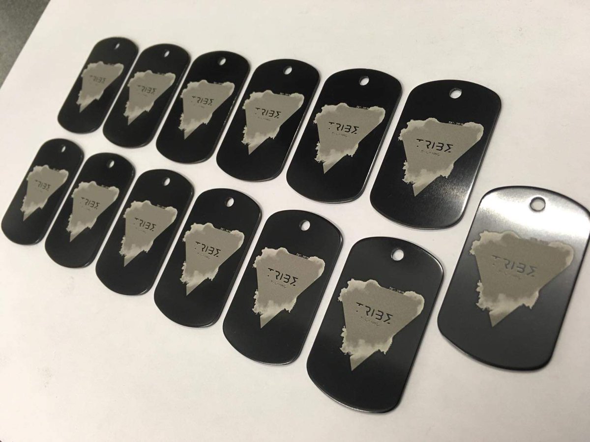 Well, look what the cat dragged in 😍🥰
#Dogtag #SquadGoals #BFV