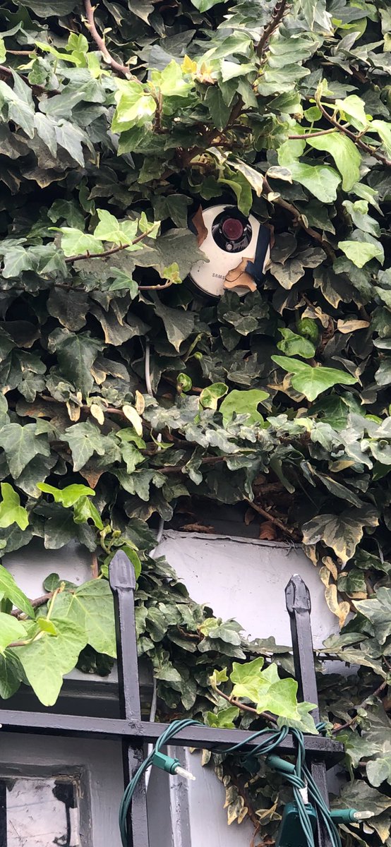 Mf (@justmikeflynn) on Twitter photo 