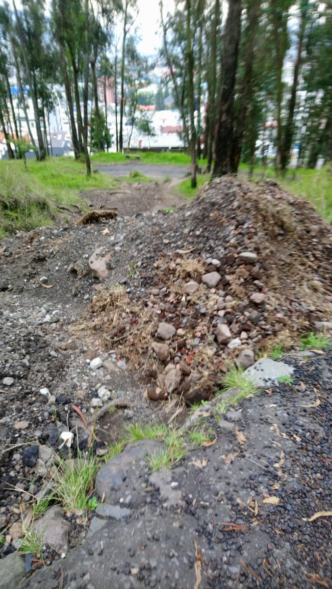 BellaAurora84's tweet photo. @aQUITOdosEc a ver si me pueden explicar porque camiones de @ObrasQuito han sido autorizados a ingresar a la zona de la comuna del Parque Metropolitano a botar escombros. ¡Esto era un sendero de bicicletas! https://t.co/akWD81gNan