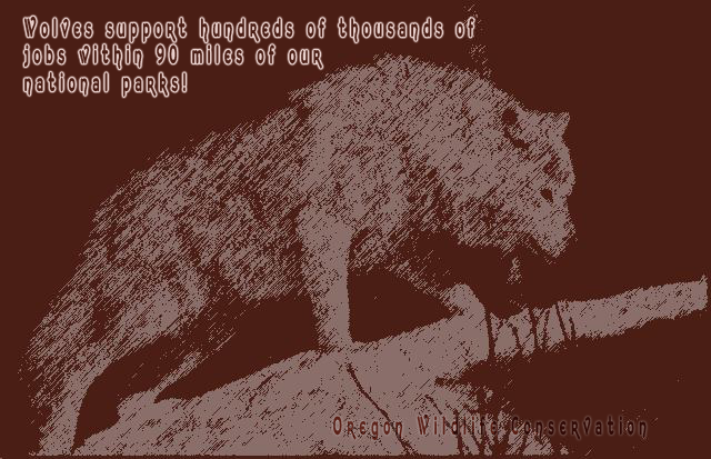 OWConservation's tweet image. .@SenJeffMerkley
We are counting on you to steadfastly OPPOSE the Trump admin's agenda to remove gray wolves from ESA! This is a thinly disguised ploy to sell off more of OUR #publiclands to oil/gas companies!