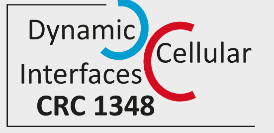 LogicofLife_CH's tweet photo. Who’s headed to Dynamic Cellular Interfaces’ conference on Cellular Signaling Platforms June 6-8 at U of Münster? Check out talks by @lucaspelkmans , Damian Brunner and more @Sfb1348 https://t.co/azpLVjhMi6 https://t.co/OkLpJpDHDJ