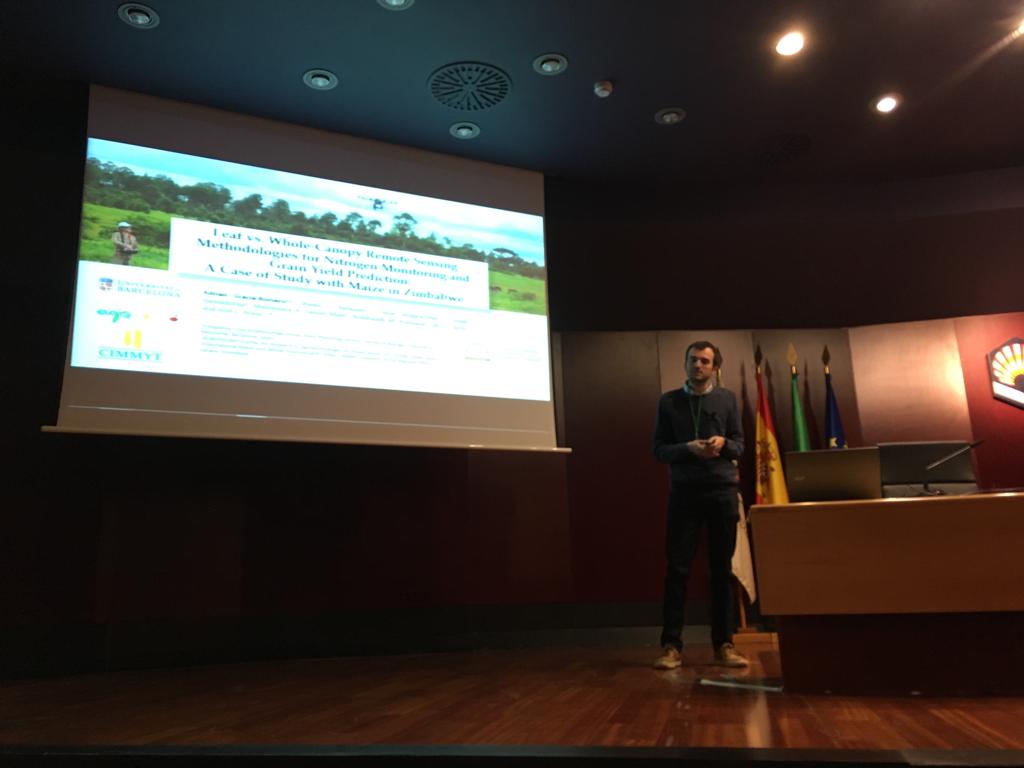 sefimec's tweet photo. @AGraciaRomero from @UniBarcelona: Leaf vs. Whole-Canopy Remote Sensing Methodologies for Nitrogen Monitoring and Grain Yield Prediction: A Case of Study with Maize in Zimbabwe. #SEFIMEC2019 https://t.co/8o2ZsUgZRr
