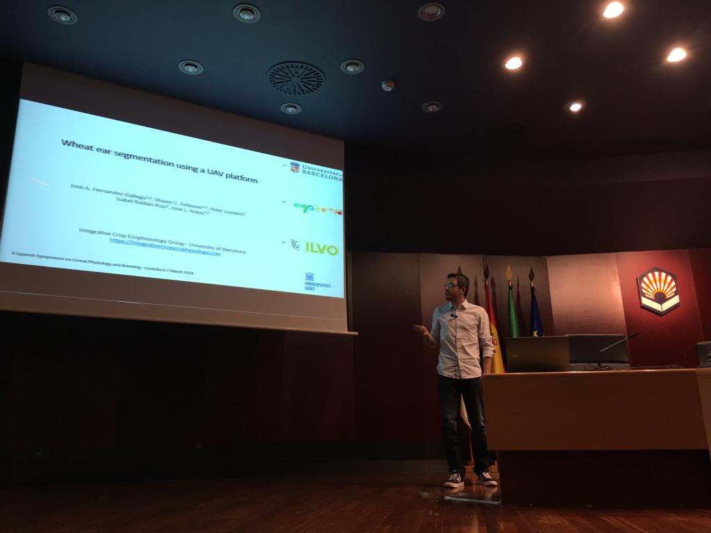José Armando Fernandez from <a href="/UniBarcelona/">Universitat de Barcelona</a>: Wheat ear segmentation using a UAV platform. #SEFIMEC2019