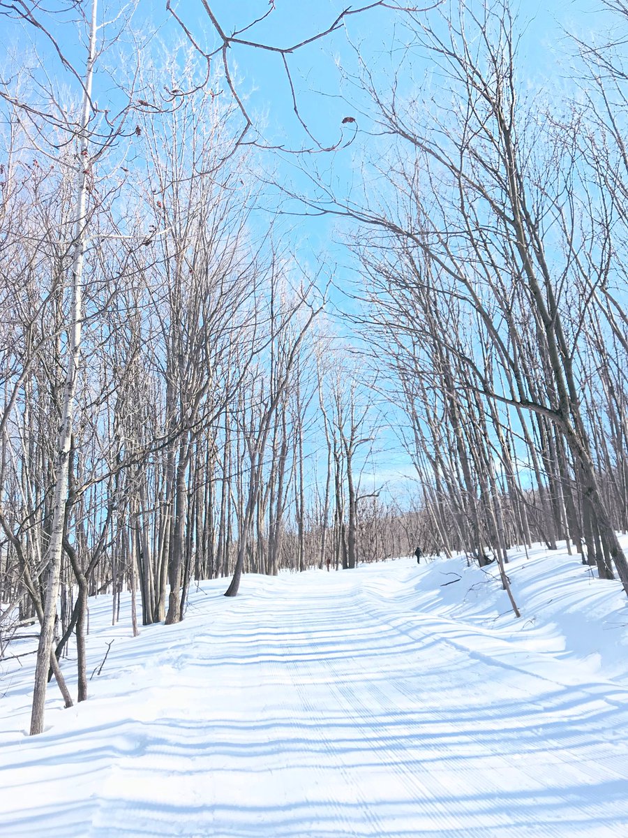 SophieB_Design's tweet image. #inthenow #withhim #Ralph 💗