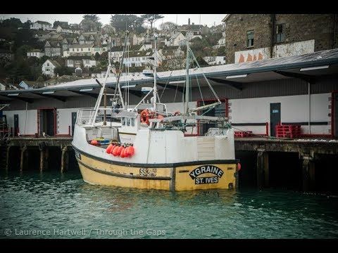 Cornishfpo's tweet image. Great video of CFPO member Ygraine sorting a hake and whitefish in Newlyn! Under 10 and over 10 members, we’d love to see more videos and images like this for our website! : buff.ly/2TuoHbK