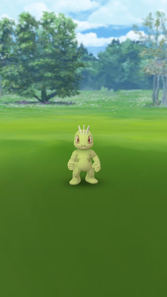 BibineAmbrine's tweet photo. Machoc shiny trouvé ce matin 😊 je ne m'y attendais pas du tout !
#ASLB #pokemongo #shinyhunting https://t.co/BDsjcjTDfM
