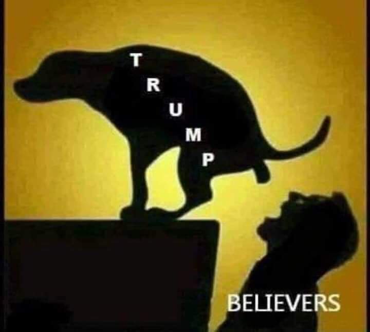 DogHouseSwine's tweet photo. @realDonaldTrump @FoxNews I dont want to hear you talk anyway... https://t.co/s7bLrBLqKV