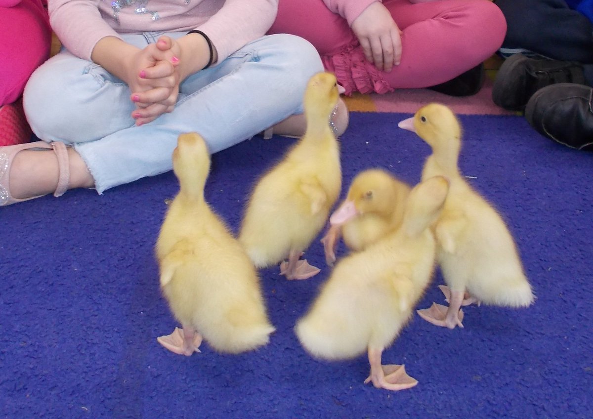 YearTwoOasisAcademyLongcross tweet media