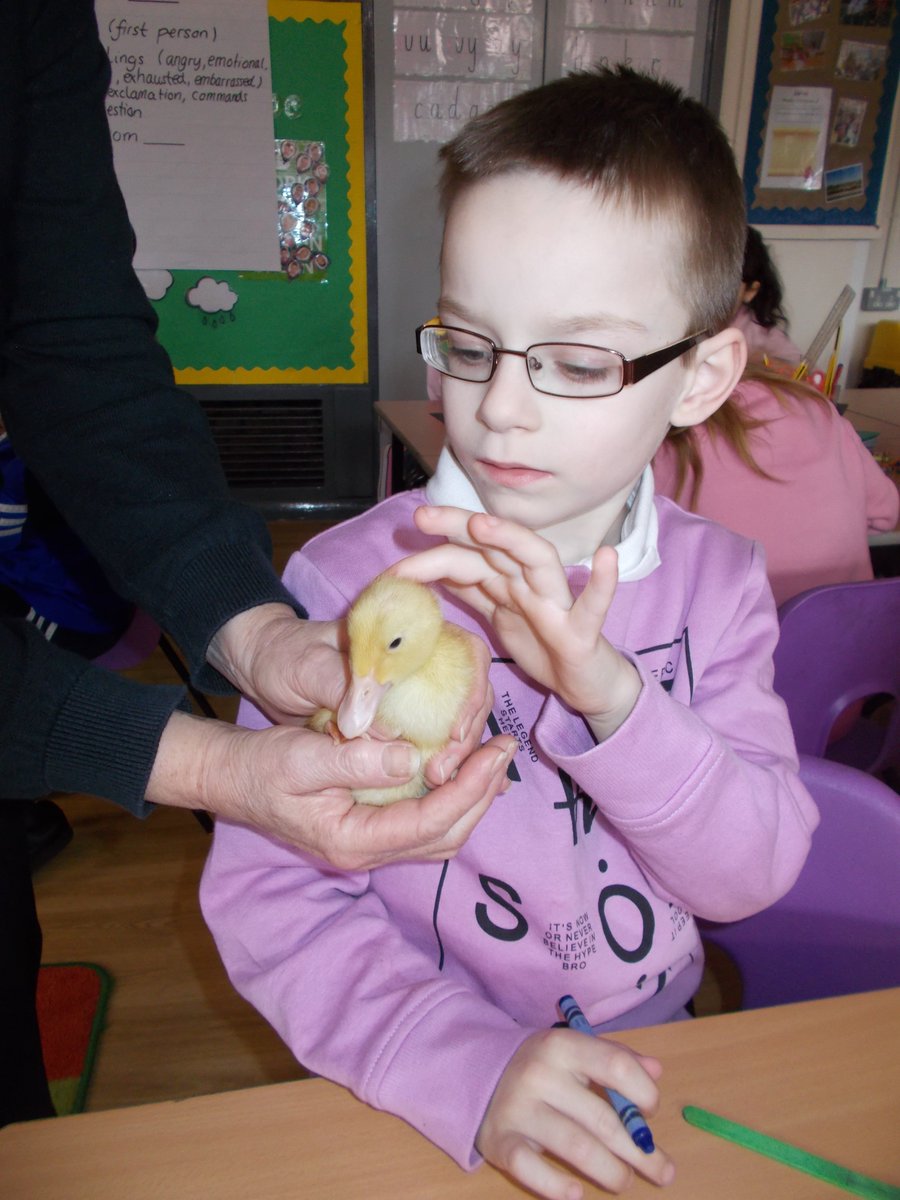 YearTwoOasisAcademyLongcross tweet media