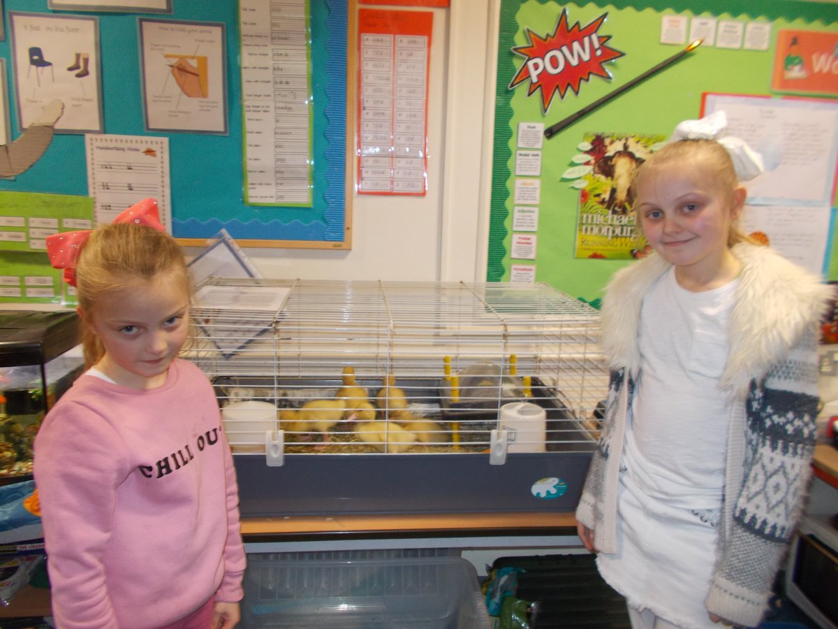 YearTwoOasisAcademyLongcross tweet media