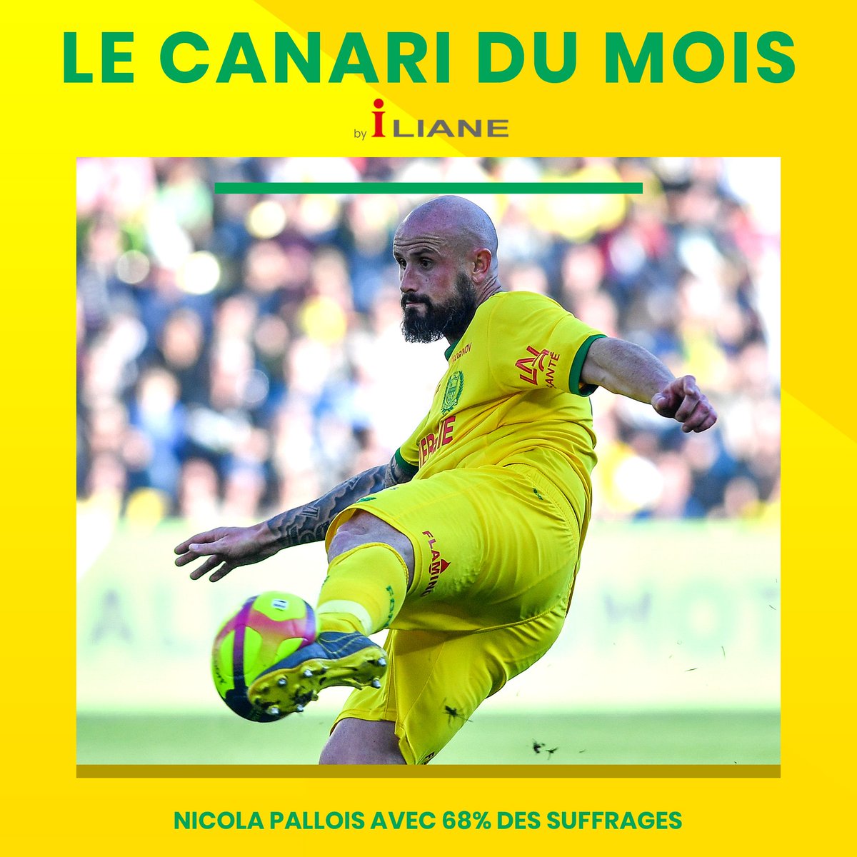 FCNantes's tweet photo. 🚀On ne l'arrête plus 🚀

@PalloisN est votre #CanariDuMois pour la deuxième fois consécutive 🥇

Mérité selon vous ? https://t.co/D94AaiLO0h