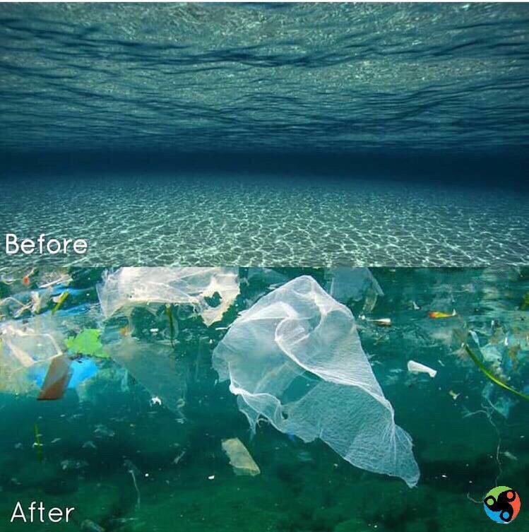 PlastiKiller tweet media