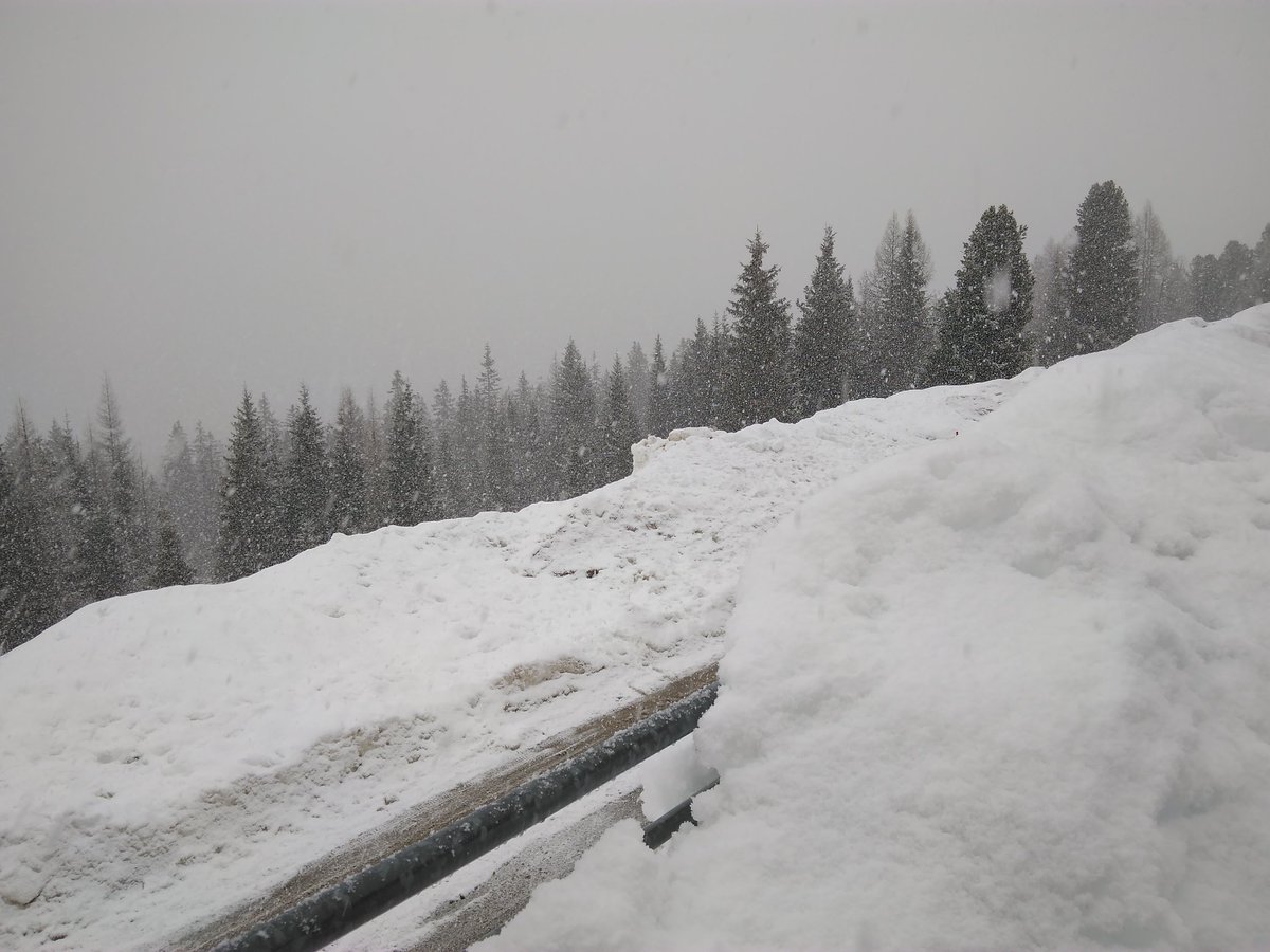 Almhaus Müller tweet media