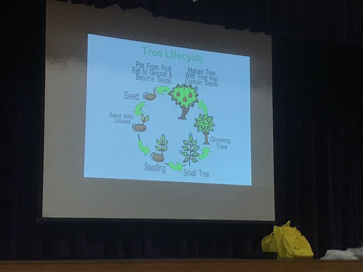 PattersonPals's tweet photo. @MidTnElectric visiting 3rd and 4th grade today @WeAreBarfield sharing their #treewise program with our students. From our staff and students, thank you for being a stakeholder in our community schools. https://t.co/uYV8fNoJZC