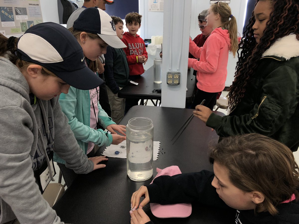 BPES 5th (@bpes5th) on Twitter photo Making Plankton prototypes for races! #ourplanktonisslowerthanyours #sciencerocks <a href="/BluffParkElem/">Bluff Park Elem</a> #DISL <a href="/disealab/">Dauphin Island Sea Lab</a> Making Plankton prototypes for races! #ourplanktonisslowerthanyours #sciencerocks <a href="/BluffParkElem/">Bluff Park Elem</a> #DISL <a href="/disealab/">Dauphin Island Sea Lab</a>