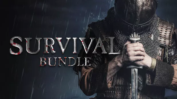 Valnir Rok is currently on #Sale in a bundle below 5 Bucks. Grab it, as long as you can. fanatical.com/en/bundle/surv…