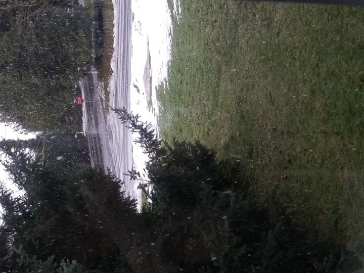 ColetteBC's tweet photo. Snowing near #yyjairport #yyjweather https://t.co/PJ908gJi6Z