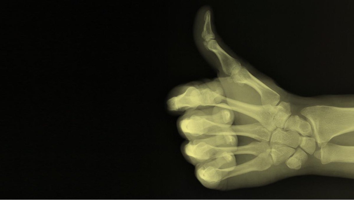 Inspirien tweet media