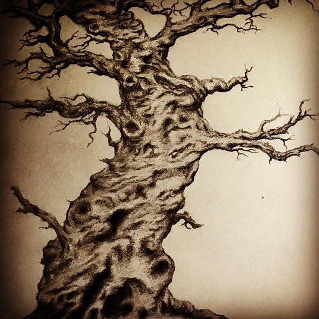 jess_purser's tweet photo. “The entire wood stood dark and silent. It watched him.” Mr Algernon Blackwood 🌲🌲🌲
#darkwood #art #artist #treedrawing #gnarledoak #gnarledtree #nature #algernonblackwood #darktakes #enchantedwood #horrorstory #darkforest #fairyland #darkart #darktal… https://t.co/aik6DoHGJW https://t.co/gkRC9tY5bL
