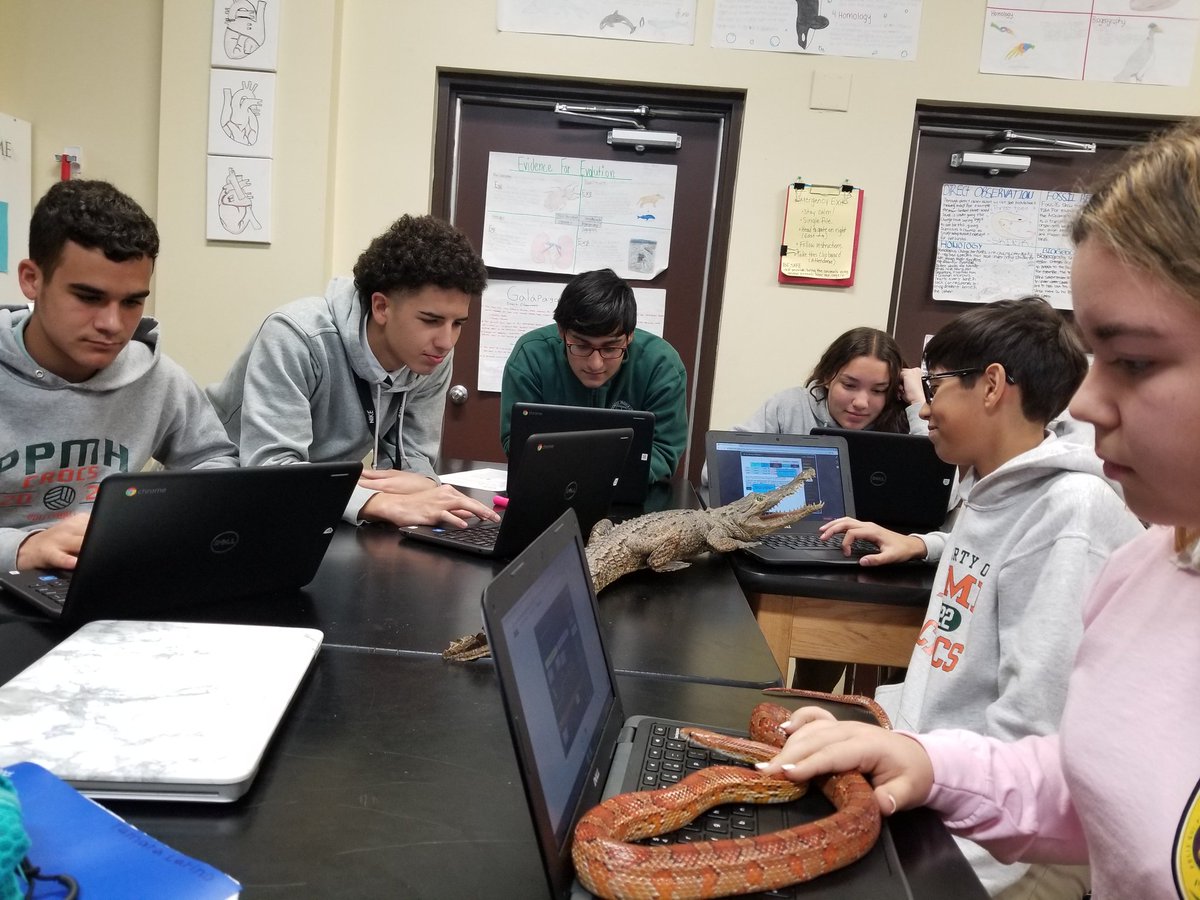 Today's high school crocs collaborated with our animal team to review Photosynthesis standards using the STEM Gizmo case study! <a href="/PPMH/">Pinecrest Prep MH</a> Crocs! @ELmariogizmo #GizmoSTEMCases