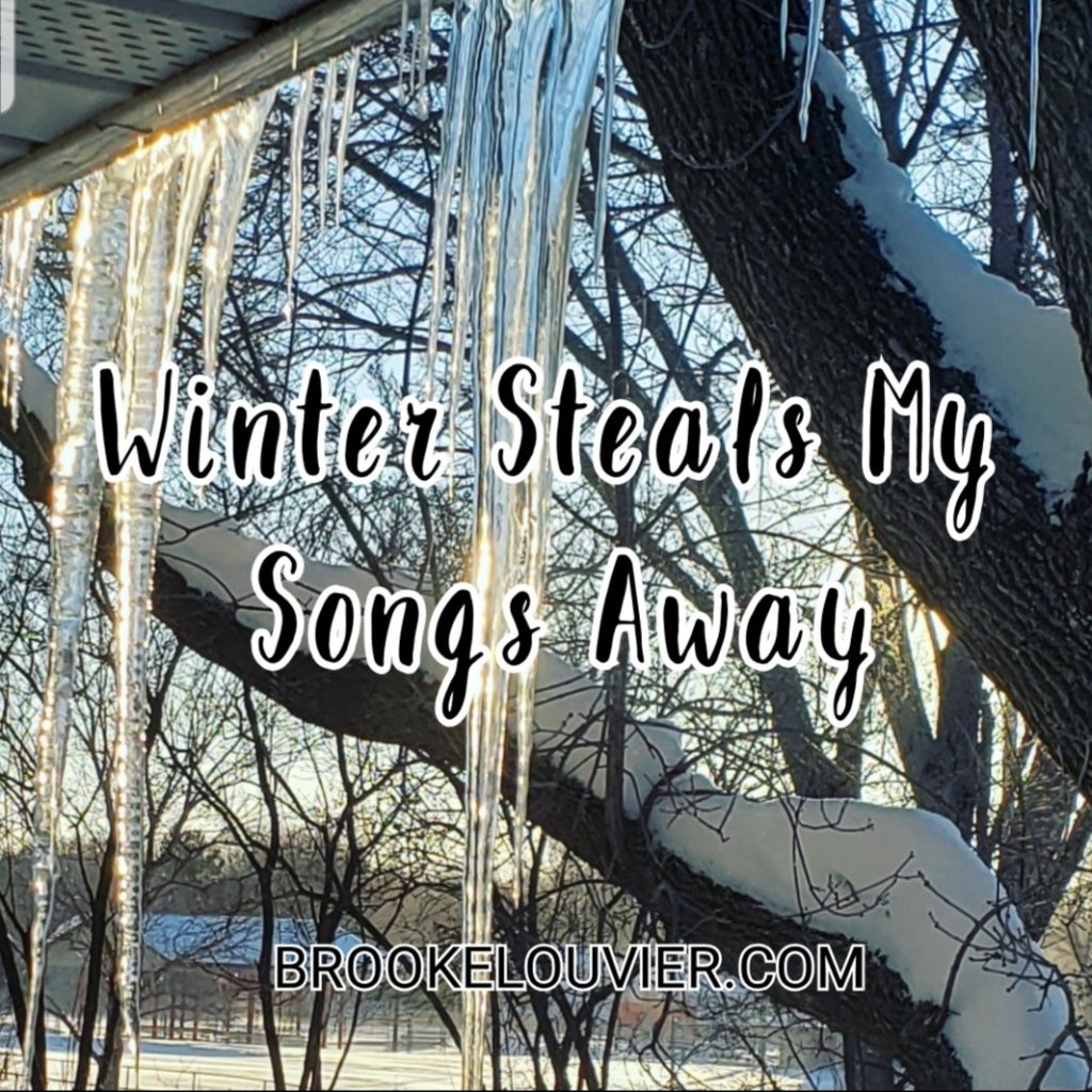 Brookegale's tweet photo. Winter Steals My Songs Away https://t.co/9NqrgnOdwj https://t.co/YpQ7WeKCx8
