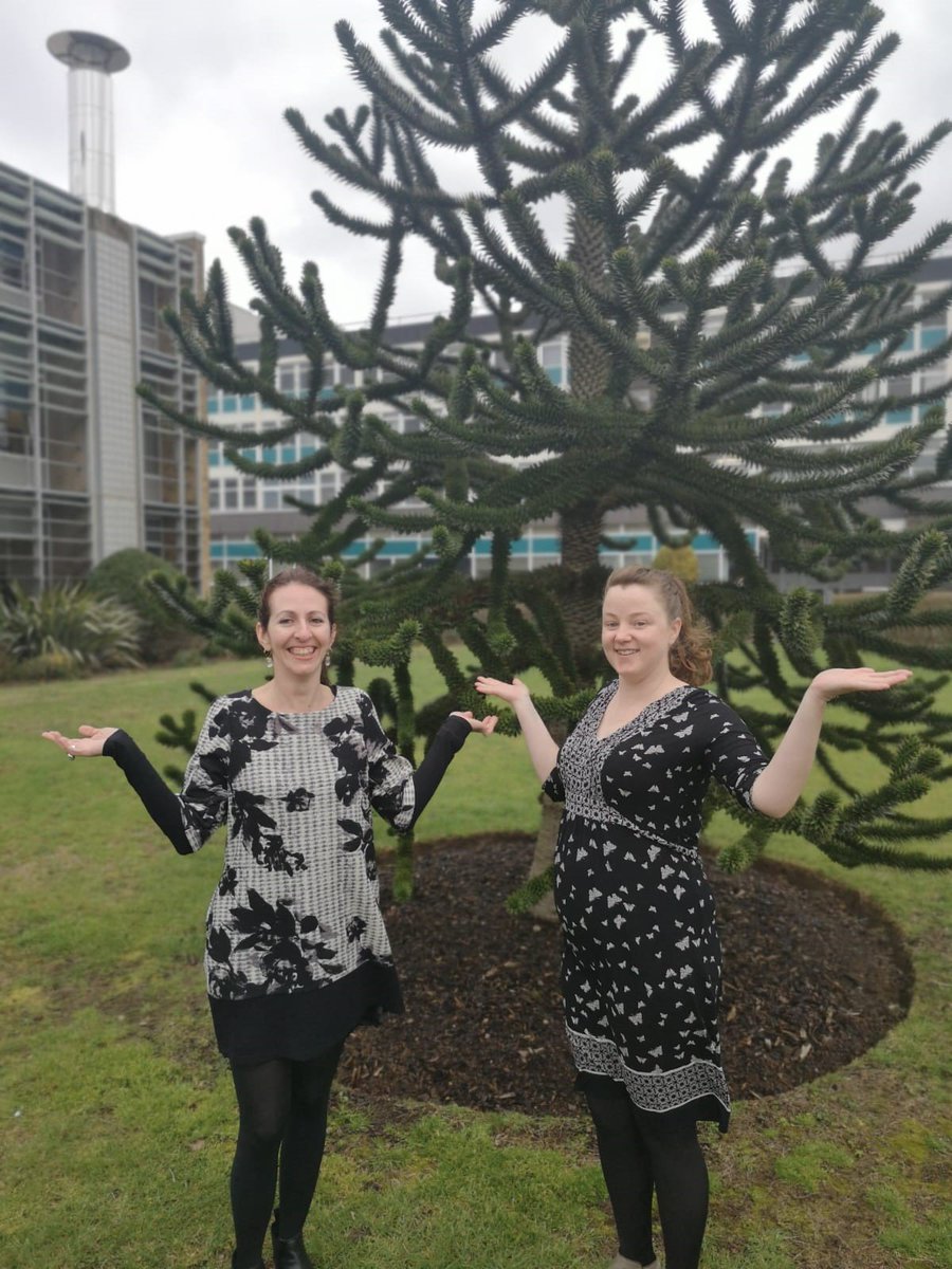 BREEAM Official tweet media