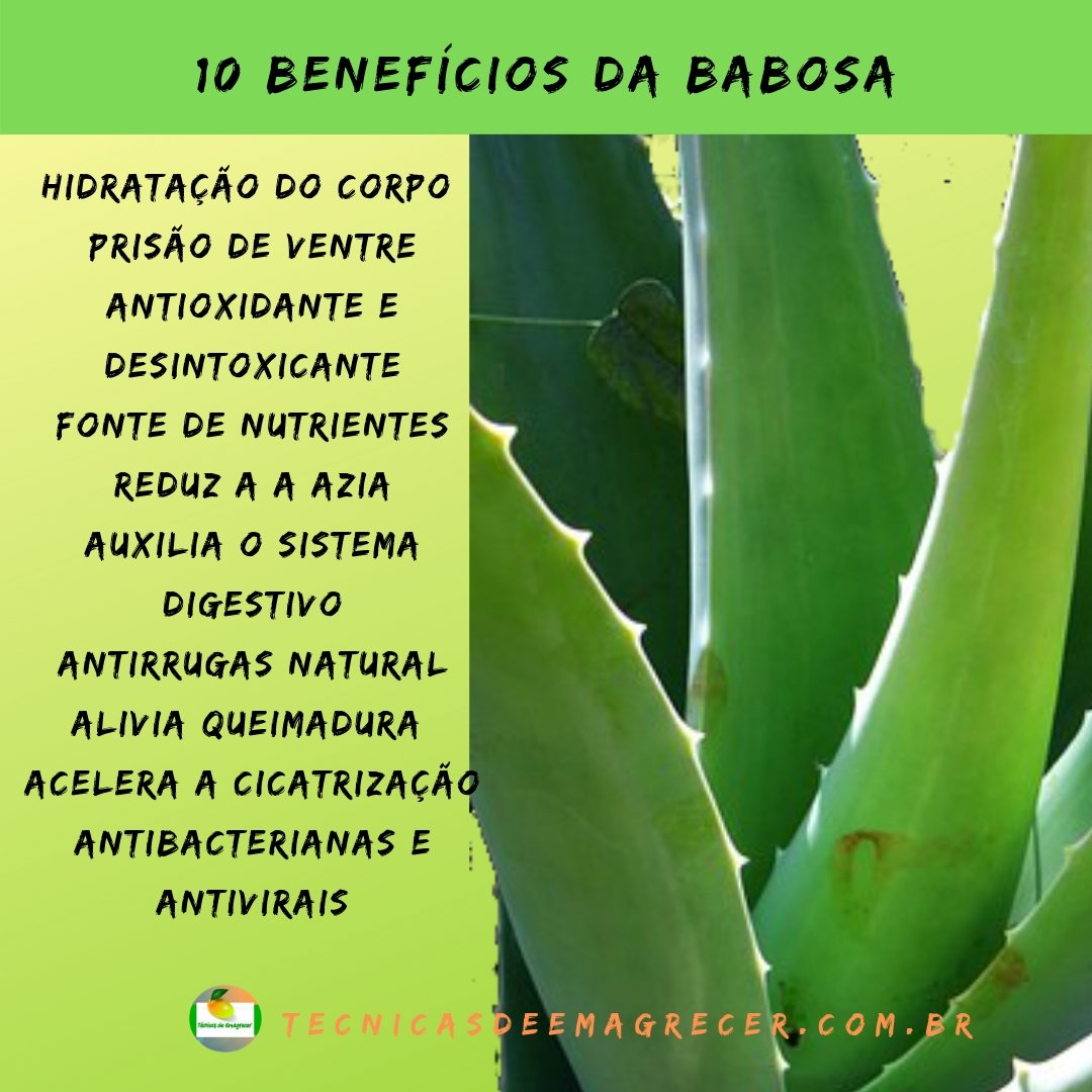 DruilerOliveira's tweet photo. ❣ 🍇 Quer saber como perder peso definitivamente sem balelas? Protocolo de emagrecimento (100% Natural) comprovado cientificamente .
❤ Entre em nosso perfil e clique no link AZUL ou acesse:
https://t.co/EWDKNGMonT
#tecnicasdeemagrecer
#tec10
#tecni10
#lowcarb
#babosa https://t.co/QZL4K9iRSX