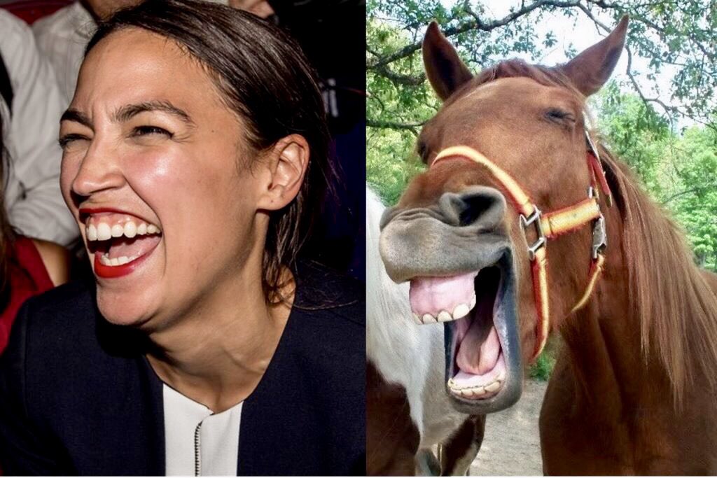 Dash Riprock On Twitter Alexandria Einstein Cortez Claims Conservatives Hate Her Because She S Pretty Really I Hate To Rain On Your Parade Aoc But You And Your Horse Teeth Are Not