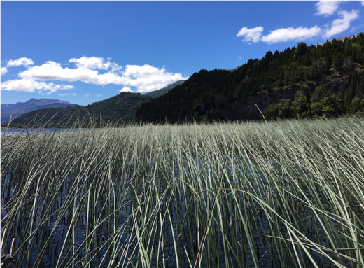 TroutUnlimited's tweet photo. Why is #publiclands planning so important? It's your shot at determining the future for your favorite places, and to ensure your kids and grandkids enjoy the same opportunities you do. https://t.co/JQG4dG6ATy #PlanForTheFuture https://t.co/LgqAvwAfdx